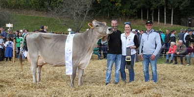 Gewinnerin des Miss Goldingen sowie des Schöneuter-Preises der Älteren: Kuh «Sambia» aus dem Stall Hubert Kühnes.