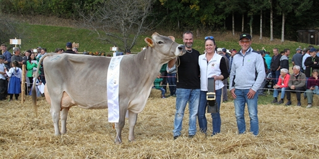 Gewinnerin des Miss Goldingen sowie des Schöneuter-Preises der Älteren: Kuh «Sambia» aus dem Stall Hubert Kühnes.
