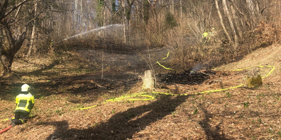 Eine Windböe sorgte in Oberegg in Arth für einen Brand. 
