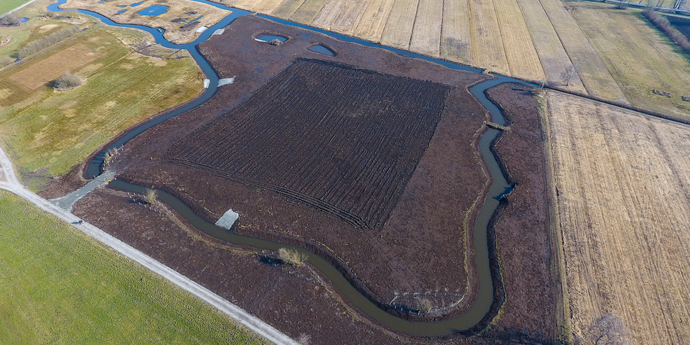 Das zum Schutz der Bodenbrüter angelegte «Zebrabiotop» im Schweizer Riet in Lustenau