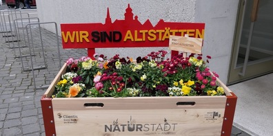 Selbstbewusst präsentieren die Altstättner ihre «Naturstadt»