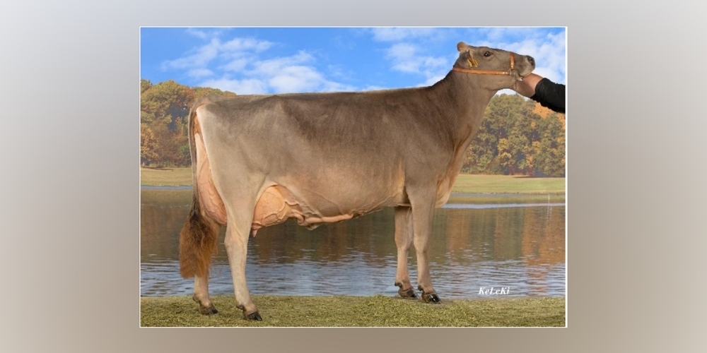 Miss Toggenburg 2024; BS 2024: Delico SORAYA.