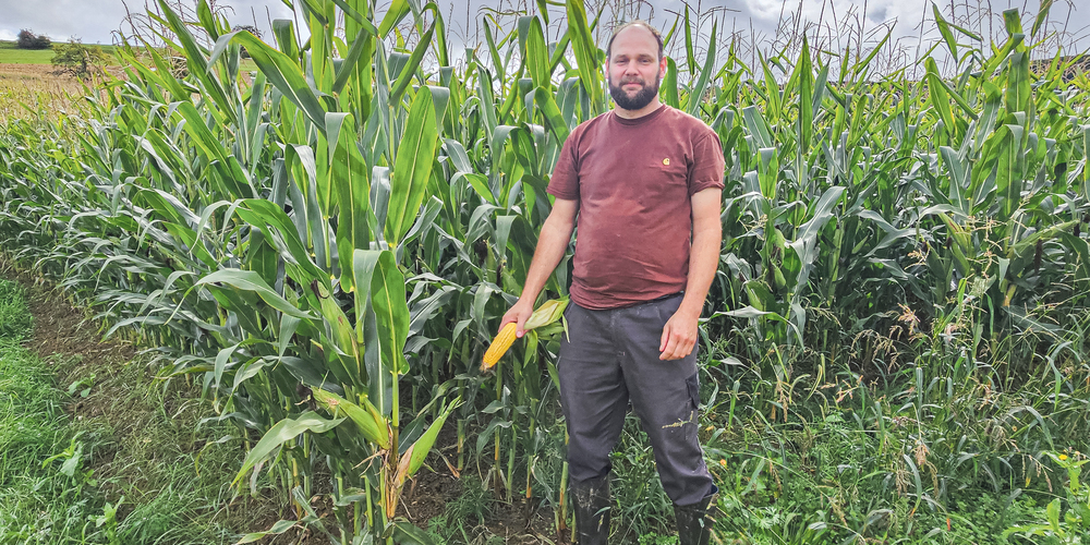 Lukas Fuchs kennt die Wildproblematik aus zwei Perspektiven – als Landwirt und als Jagdaufseher. Ihm ist wichtig, dass Landwirtinnen und Landwirte wissen, welche Kulturen sie schützen müssen – und Jägerinnen und Jäger, wann sie zahlungspflichtig sind.