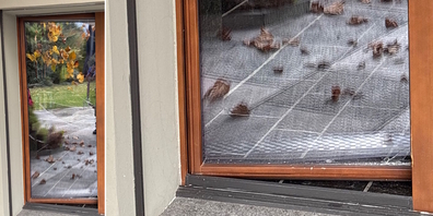 Die unbekannte Täterschaft drang via Fenster ins Innere des Einfamilienhauses und nahm Deliktsgut im Wert von mehreren zehntausend Franken mit.