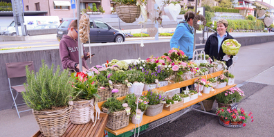 Treffpunkt Markt: Für die Höfner gibts ab Samstag wieder den Wochenmarkt in Wollerau. 