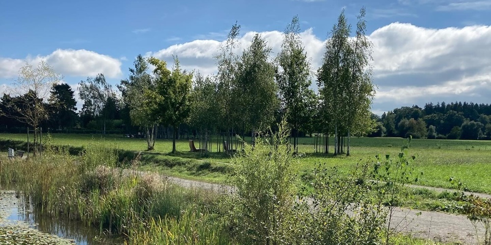 Die Unterhaltsverträge für den Griespark mussten neu vergeben werden. (Archivbild)