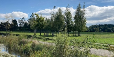 Die Unterhaltsverträge für den Griespark mussten neu vergeben werden. (Archivbild)