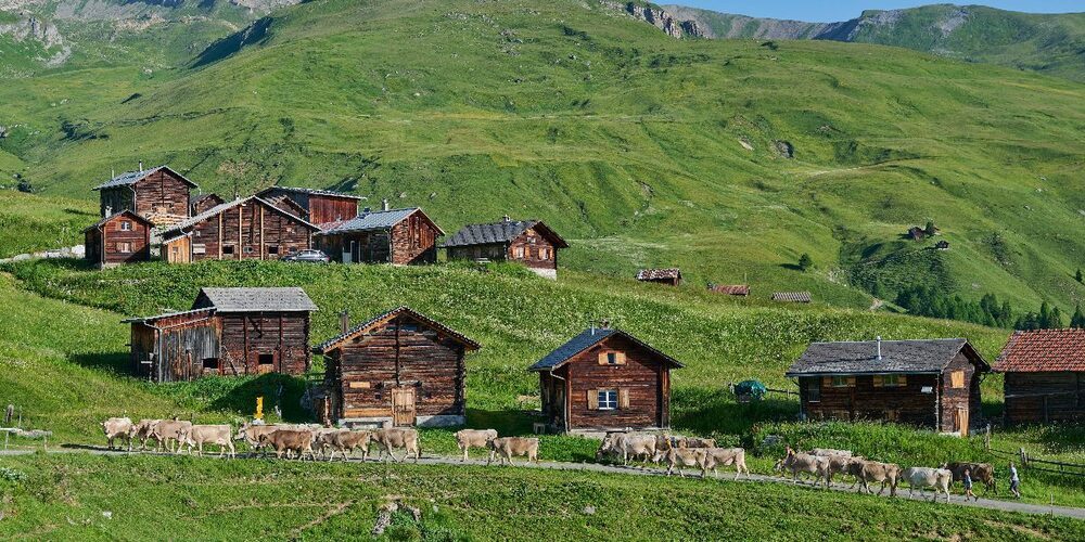 Der Kanton Zürich engagiert sich mit seiner Inlandhilfe für den Erhalt der Kulturlandschaft und die Unterstützung von Berggemeinden in der ganzen Schweiz. (Symbolbild)