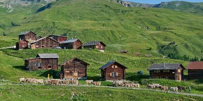 Der Kanton Zürich engagiert sich mit seiner Inlandhilfe für den Erhalt der Kulturlandschaft und die Unterstützung von Berggemeinden in der ganzen Schweiz. (Symbolbild)