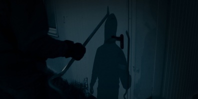 Bild Kapo St. Gallen