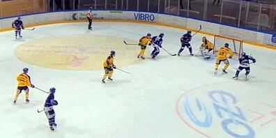 Die Romanshorner mussten sich Langenthal geschlagen geben