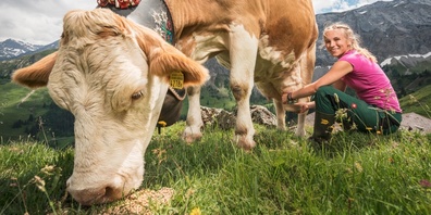 Landwirtschaft (Symbolbild)