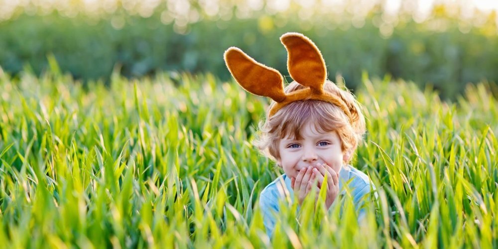 Die kleinen und grossen Osterhasen können virtuell auf Eiersuche gehen