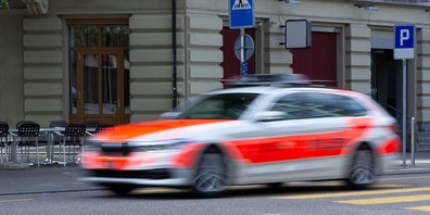 Für einen Hund in einem Auto kam jede Hilfe zu spät (Symbolbild).