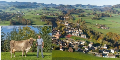 Kuh Goldi mit Fritz Brunner.