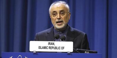 ARCHIV - Ali Akbar Salehi, Vizepräsident und Leiter der Atomenergie-Organisation des Iran, spricht zur Eröffnung der 63. Generalkonferenz der Internationalen Atomenergiebehörde (IAEA) im International Center. Foto: Ronald Zak/AP/dpa