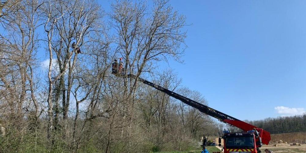 Einsatz am Baum für zwei Umweltaktivisten, die hoch oben im Geäst auf einem Gelände der Holcim im Kanton Waadt ausgeharrt haben.