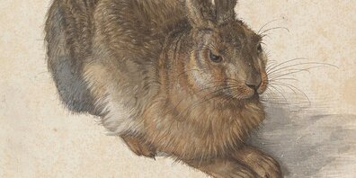 Mit Sicherheit der zweitberühmteste Hase der Welt gleich nach dem Osterhasen: der Feldhase von Albrecht Dürer (1502)