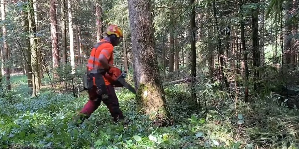 Sicherheitsholzschlag-bei-Umfahrung-Wattwil