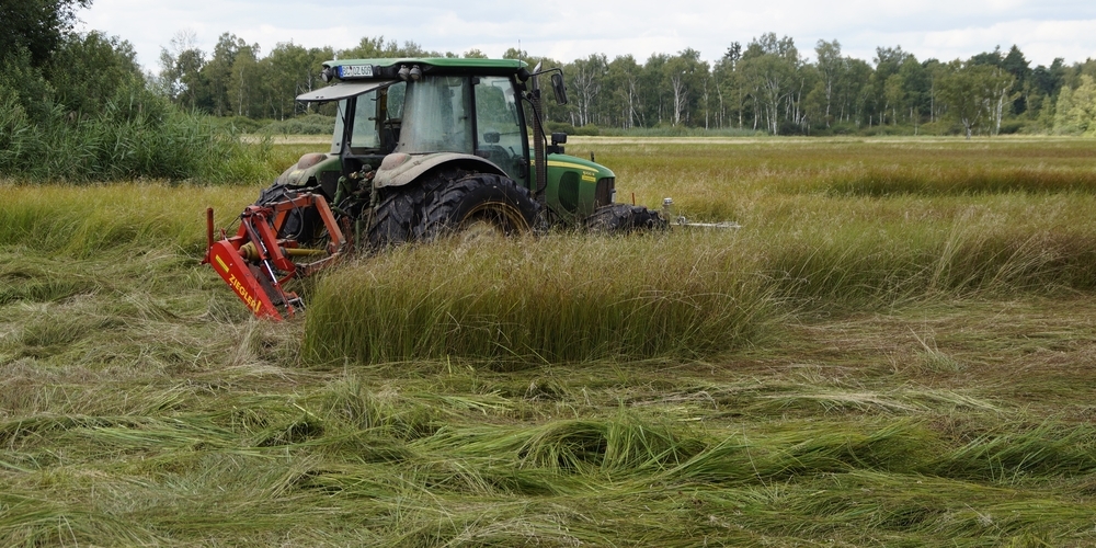 Im Kanton St.Gallen soll der Vertragsnaturschutz professionalisiert und eine einheitliche Anlaufstelle für Bewirtschafter geschaffen werden.  (Symbolbild)