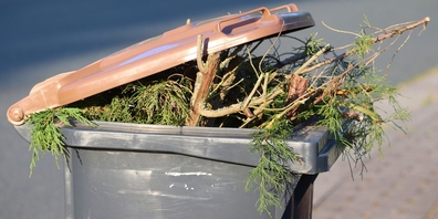 Mit dem geplanten Ausbau der Grünabfuhr erhofft sich die Uzner Mitte eine Steigerung der Wiederverwertungsquote. (Symbolbild)