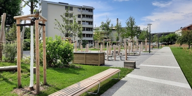 Die Fachjury lobt die klare räumliche und funktionale Struktur des Grünfelsparks durch die Unterteilung in Hain, Wiese und Bahndamm.