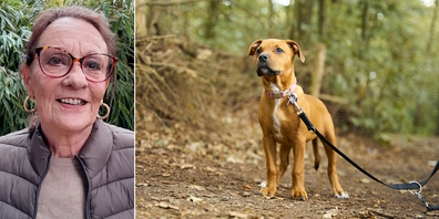 Rosita Ruzsa will wissen, wo sich Hunde in Rapperswil-Jona frei bewegen können.