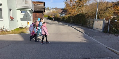 Viele Eltern sind um die Sicherheit ihrer Kinder auf ihrem Schulweg zwischen Wallenbachstrasse und Eichholzstrasse besorgt. Eine Online-Petition fordert Massnahmen von der Stadt.