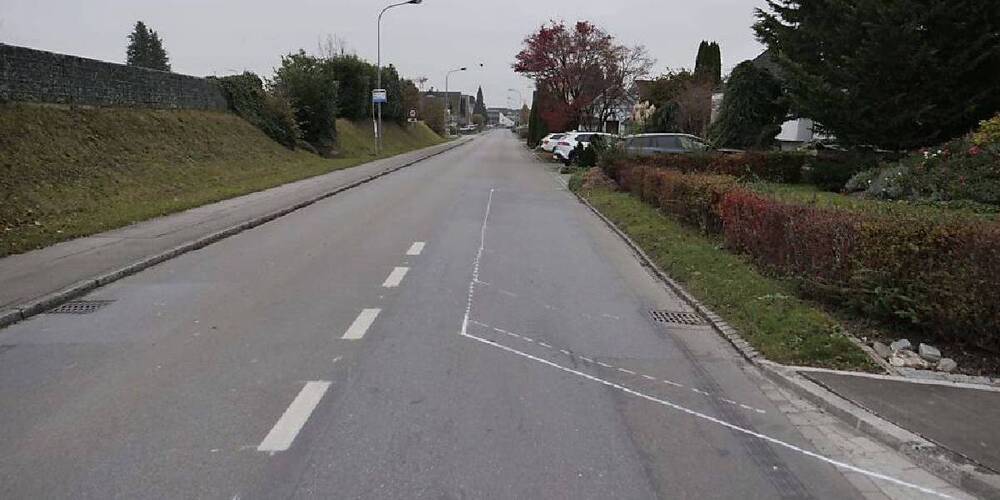 Die Gemeinde Diepoldsau plant an der Rheinstrasse eine moderne, barrierefreie Bushaltestelle.