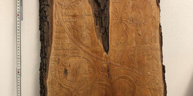Diese Holzplatte fand ein Passant in Landquart.