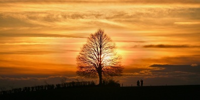 Abendrot, Schönwetterbot: Diese alte Bauernregel stimmt wohl!