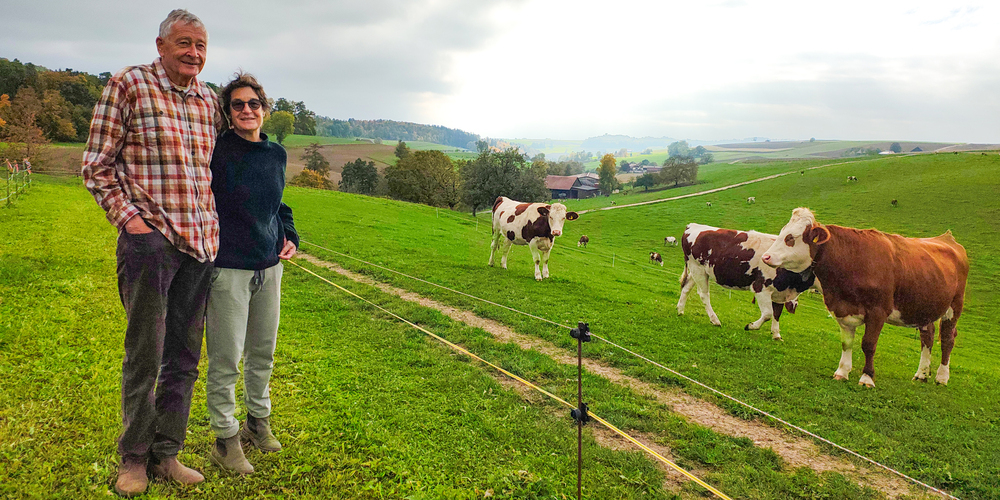 Hansruedi und Regina Stamm geniessen den Blick über die Wiese hinter ihrem Bauernhof Grotwis. Statt den Hof an die nächste Generation zu übergeben, gingen sie andere Wege. Trotzdem bleibt die Grotwis im Besitz der Familie – ein Herzensanliegen für alle.