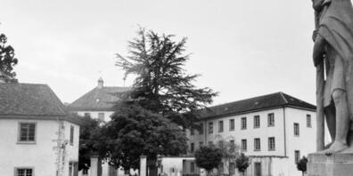 Auch in der "kantonalen Heil- und Pflegeanstalt" in Rheinau wurden Menschen "versorgt". (Archivbild)