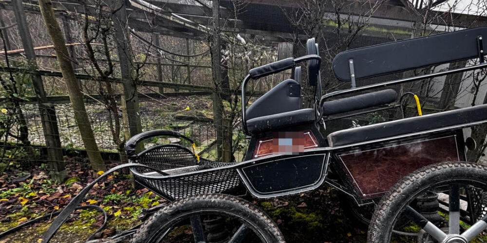 Zwei an eine Kutsche eingespannte Pferde gingen am Mittwoch in Amlikon-Bissegg durch.