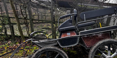 Zwei an eine Kutsche eingespannte Pferde gingen am Mittwoch in Amlikon-Bissegg durch.