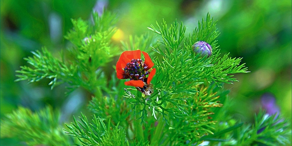 Osterweg (Symbolbild).
