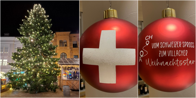 Die imposante Tanne ziert den Hauptplatz in Villach. Im Advent wird sie dann noch mit einer speziellen Weihnachtskugel geschmückt.