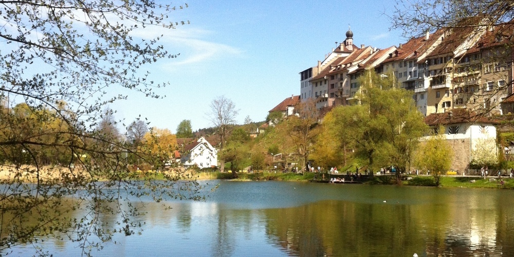 vogelgrippe-f-nf-tote-v-gel-haltung-aufgel-st