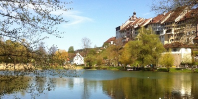 Betroffen waren fünf verstorbene Vögel im Ententeich beim Stadtweier der Stadt Wil.