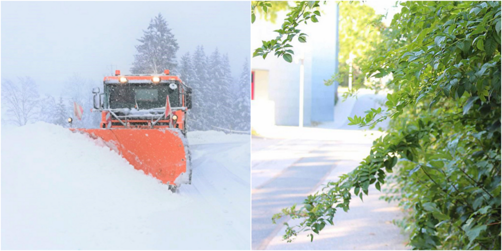 Organisieren Sie Ihre Schneeräumung und schneiden Sie Ihre Bäume und Sträucher zurück. (Symbolbilder)