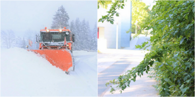 Organisieren Sie Ihre Schneeräumung und schneiden Sie Ihre Bäume und Sträucher zurück. (Symbolbilder)