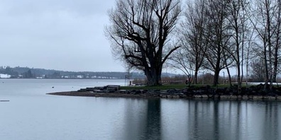 Experten und Interessierte tauschen sich am VPP-Seeforum über den Schutz und die Pflege des Pfäffikersees aus.