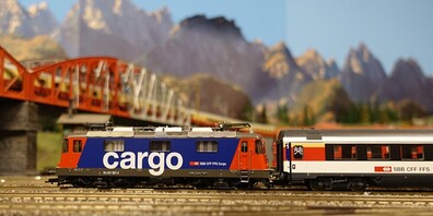 Der MCWK betreibt eine grosse Anlage mit den Spuren HO, HOm, N und Nm