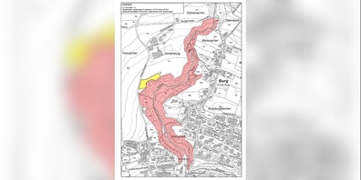 Schutzwaldholzschlag