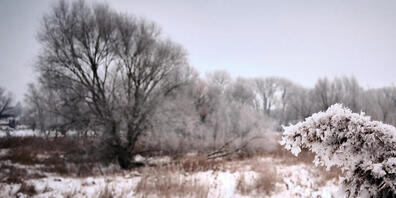 Der Winter meldet sich heute Dienstag und in den kommenden Tagen mit klirrender Kälte und Schneefall bis in tiefe Lagen zurück. (Archivbild)