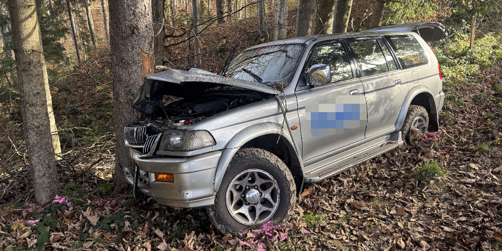 Das Fahrzeug erlitt einen Totalschaden.
