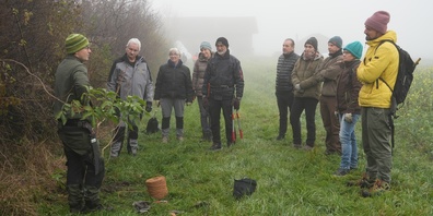 Severin Weber demonstriert den Teilnehmern, wie Wildsträucher richtig gepflanzt werden. 