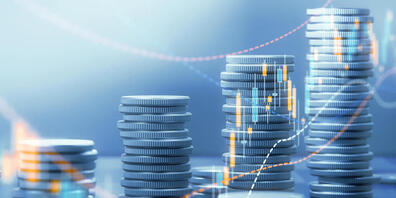 Die FDP fordert, dass keine weiteren Ausgaben anfallen. (Symbolbild)