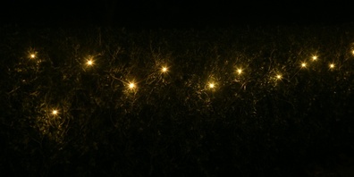 Vor dem 1. Advent ist Weihnachtsbeleuchtung in Gossau neu verboten. Systematisch kontrolliert werden soll es jedoch nicht. (Symbolbild)