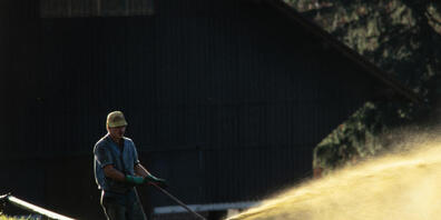 In Dietschwil im Kanton St. Gallen sind 100 Liter Gülle in einen Bach gelangt. (Symbolbild)